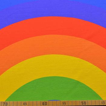 Baumwolljersey Panel Regenbogen ca. 75cm